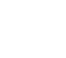 Fact icon